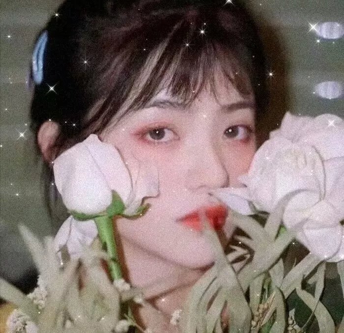 浴血玫瑰
